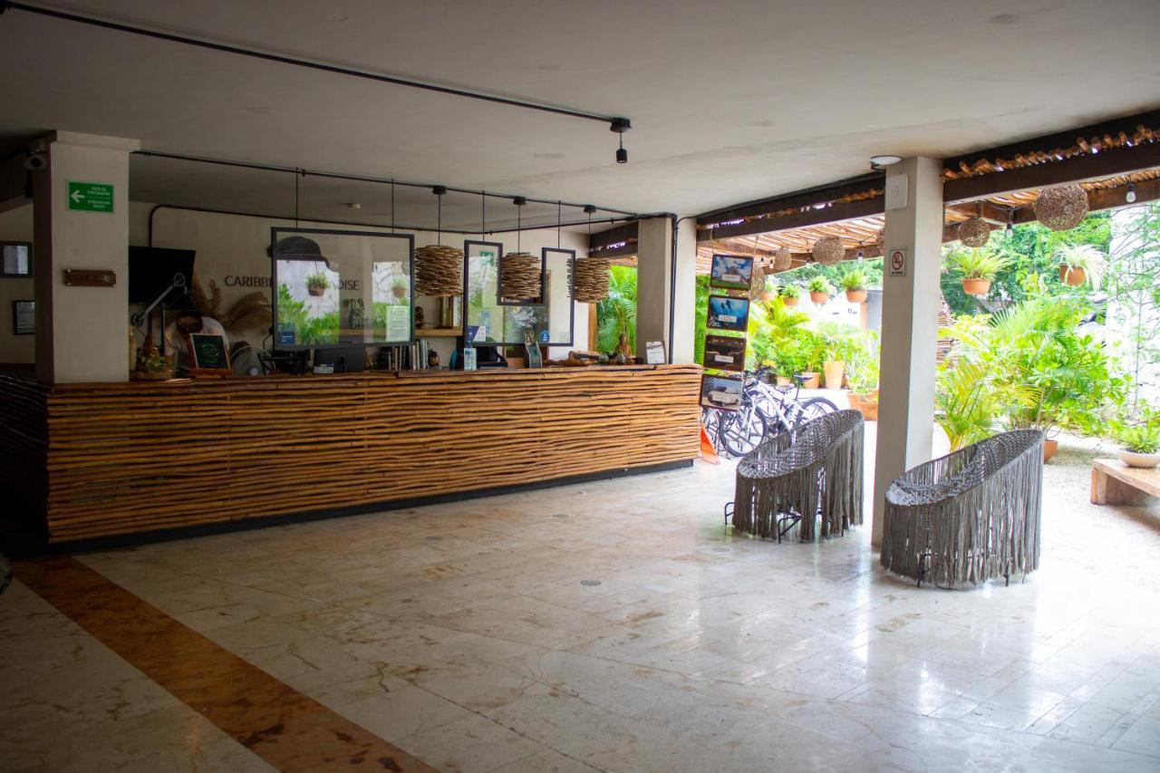 Caribbean Paradise Hotel & Spa - 5Th Avenue Playa del Carmen Ngoại thất bức ảnh