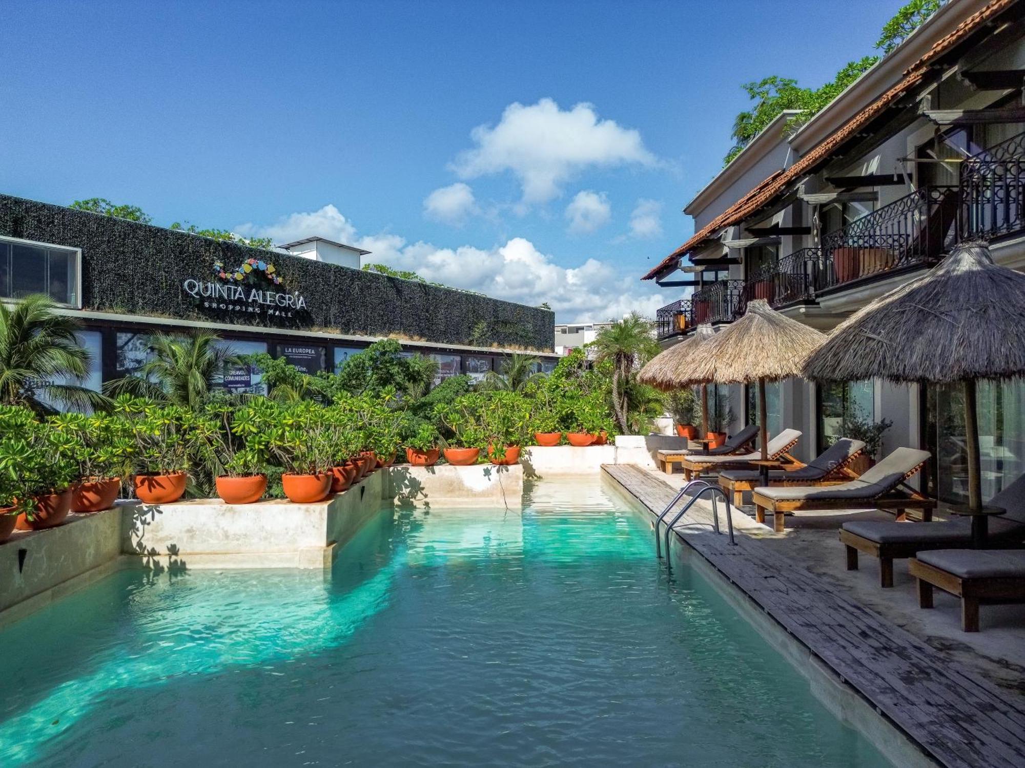 Caribbean Paradise Hotel & Spa - 5Th Avenue Playa del Carmen Ngoại thất bức ảnh