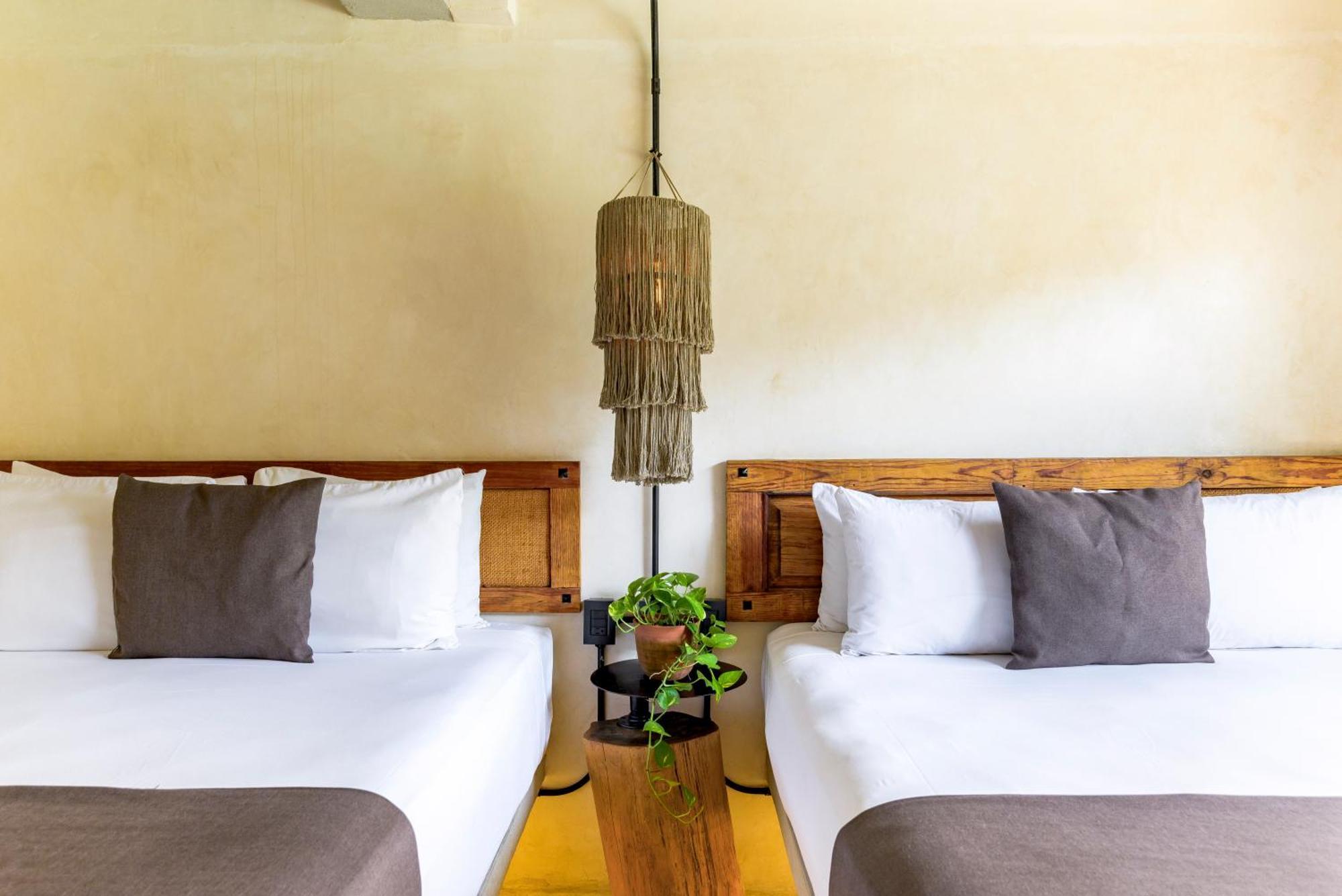 Caribbean Paradise Hotel & Spa - 5Th Avenue Playa del Carmen Ngoại thất bức ảnh